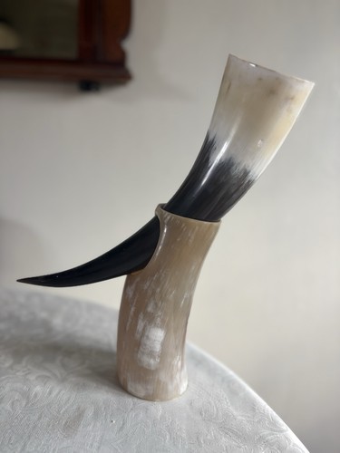 Viking bone drinking - , horn