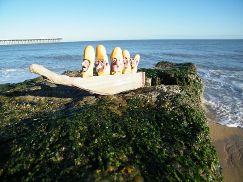Driftwood canoe