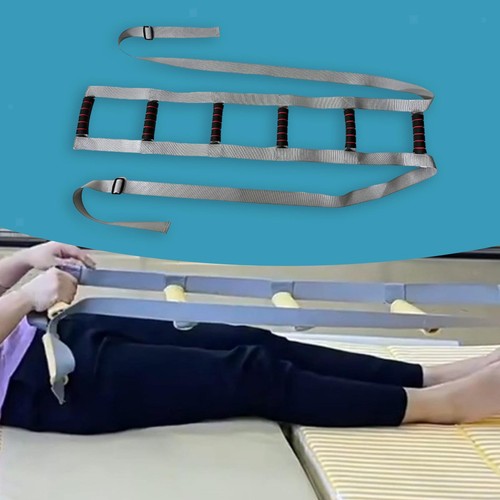 Bed ladder assist - assist, up