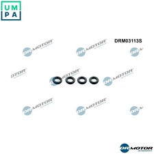 SEAL RING INJECTOR DRM03113S