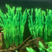 Artificial Seaweed Water Plants for Aquarium Plastic Fish Tank Decorations 10PCS