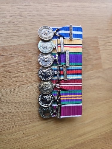 Court mounted miniature - mounted, medals