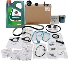 Genuine Citroen Wet Belt Kit