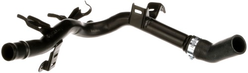 Radiator hose lower fits - radiator,
