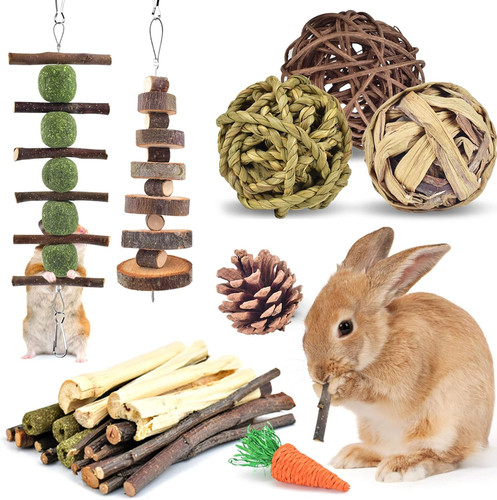 Rabbit chew toys types - chew,