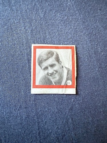 Bobby brown cardiff city 81 - bobby, #81