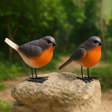 Set robin bird garden - of,