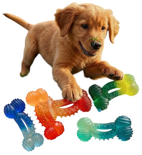 Dog toy puppy chew - toy, squeaky