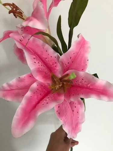 Sets pink lily high quality - ,