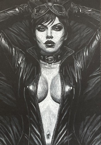 Original catwoman art - original, pencil