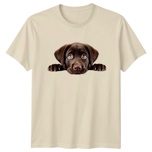 Chocolate labrador puppy - labrador,