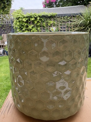 Green plant pot - green,