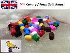 50 Bird Split Rings Multi