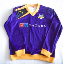 Yorkshire Cricket Vikings