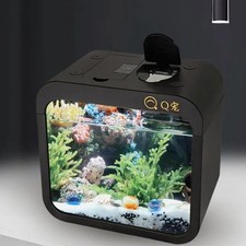 Small Fish Tank Plastic Clear