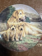 Faithful Companions Golden