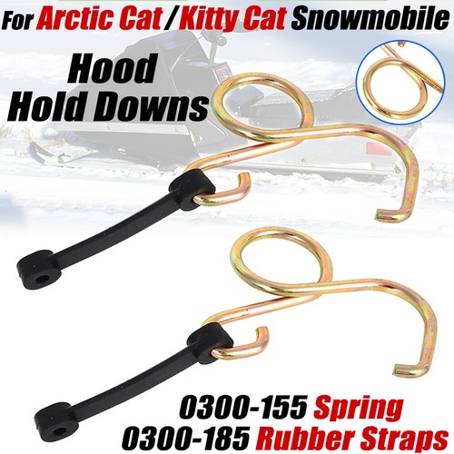 For arctic cat kitty - arctic,