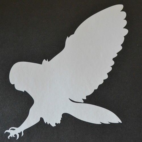 16cm bird prey - 16cm,