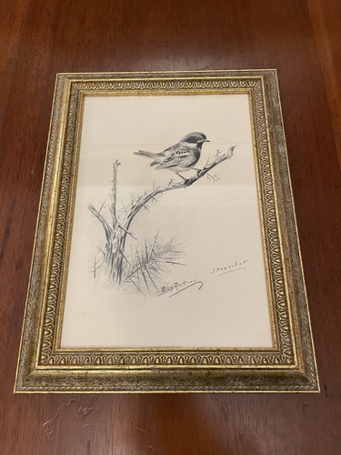 Philip rickman stonechat bird - rickman,