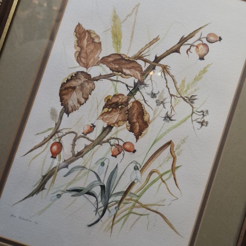 Vintage botanical hedgerow - vintage,