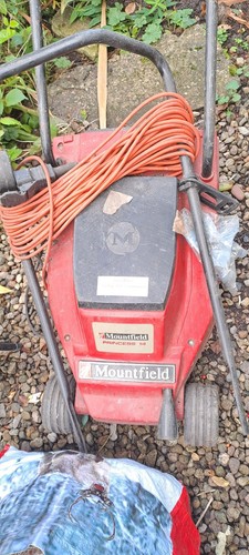 Mountfield princess - princess, 14
