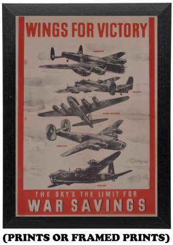 Wings for victory world - for,