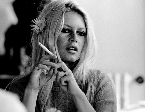Brigitte bardot 8x10 photo - 8x10,