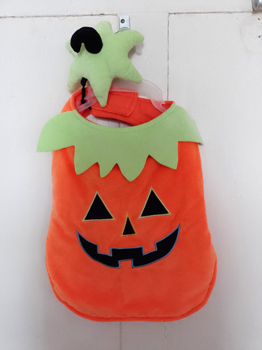 Pets home halloween pumpkin - pets,