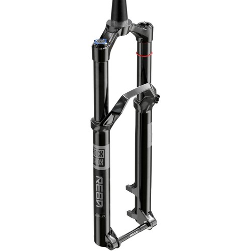 Reba gold fork - fork, 29