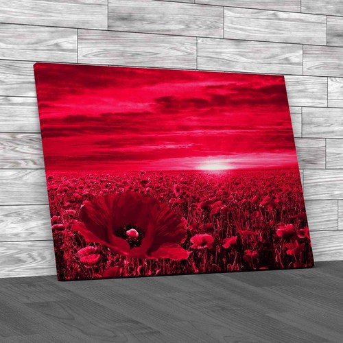 Poppy field sunrise pink - at,