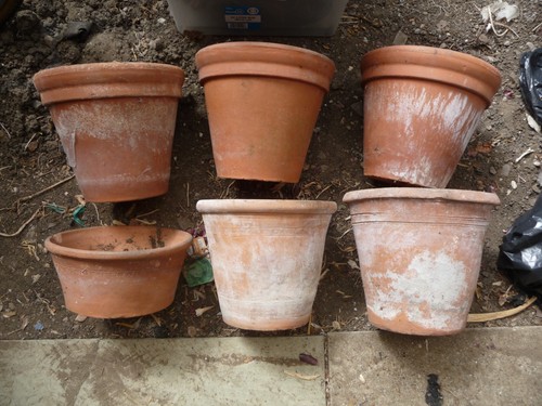 Clay pots vintage ward - pots,