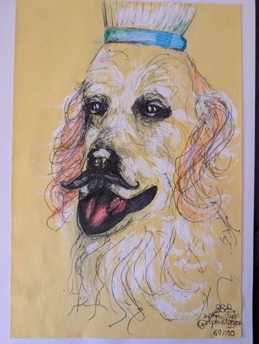 Dog chef unframed drawing - dog,