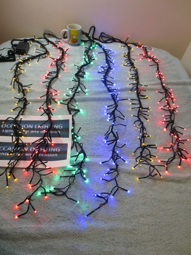 Multi colour christmas garden - colour,