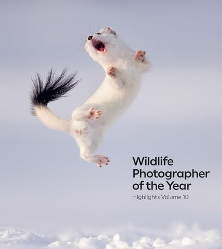 Wildlife photographer the - photographer, of