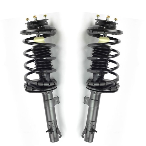 Front pair complete strut - front,