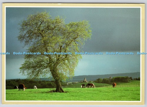 L371331 the highland wayside - the,