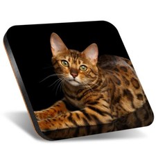 1x Square Coaster 12cm Spotted