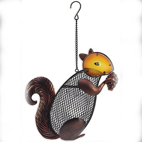 Sunset vista squirrel bird - squirrel,
