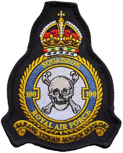 100 squadron royal air force - 100,