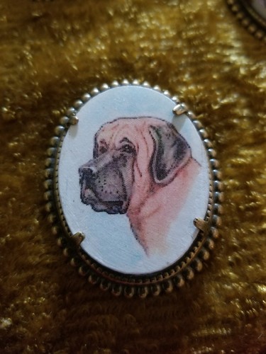 English mastiff bullmastiff - mastiff,