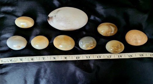 Assorted ornamental eggs - assorted,