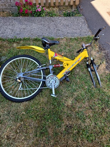 Raleigh men mountain bike - raleigh,