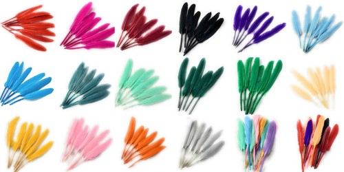 Goose feathers pack - goose, 10