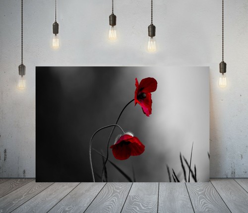 Floral poppy deep framed - floral,