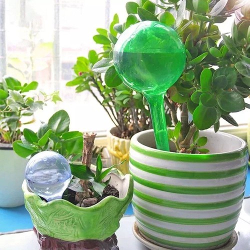 Plant self watering bulb - 4x,