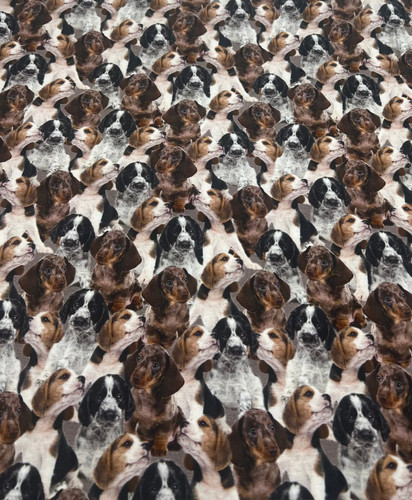 Cute puppies cotton - cotton, stretch