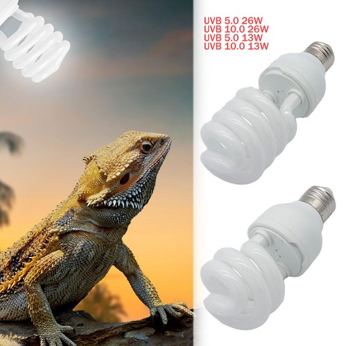 Reptile pet plant screw bulb - pet,