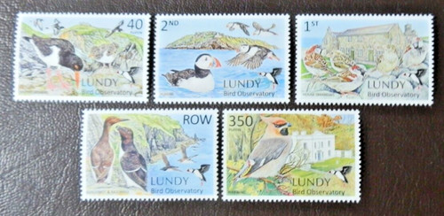 Lundy 2025 bird - lundy,