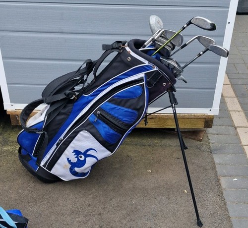 Golf clubs woodworm - 13,