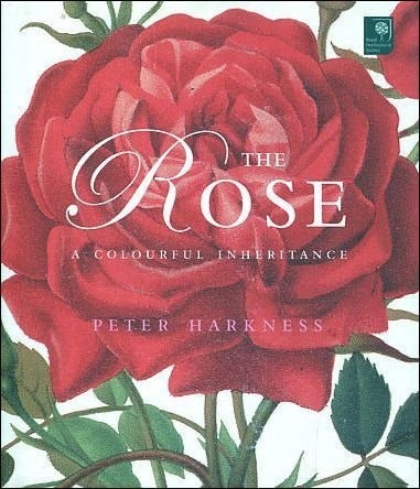 The rose colourful - rose:,